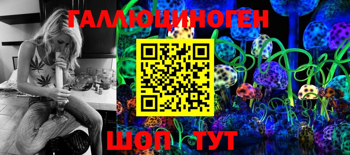 Краснокаменск  наркошоп  Вход с VPN  Псилоцибиновые грибы GOLDEN TEACHER 