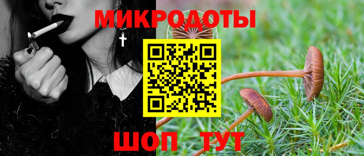 Галлюциногенные грибы GOLDEN TEACHER Краснокаменск